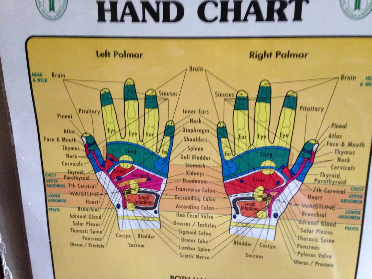Estuary House Reflexology B&B Courtenay Ngoại thất bức ảnh